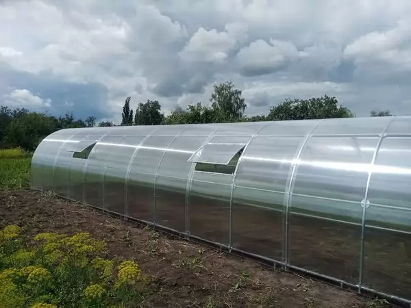 Теплица Ударница Царицынская, ширина 2.5/3 м, труба 40х20 мм