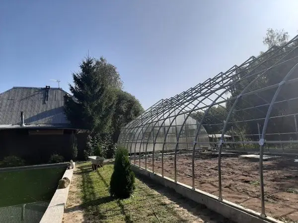 Теплица Ударница Агроном Теплица Ударница Агроном